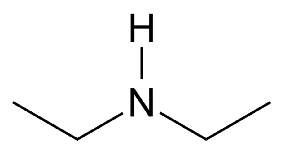 <IMAGE>