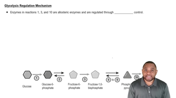 Glycolysis Regulation Mechanism Concept 2