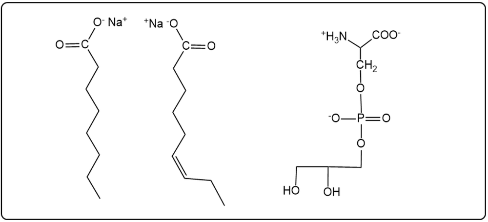 Products of base hydrolysis of phosphatidylserine with sodium ions.