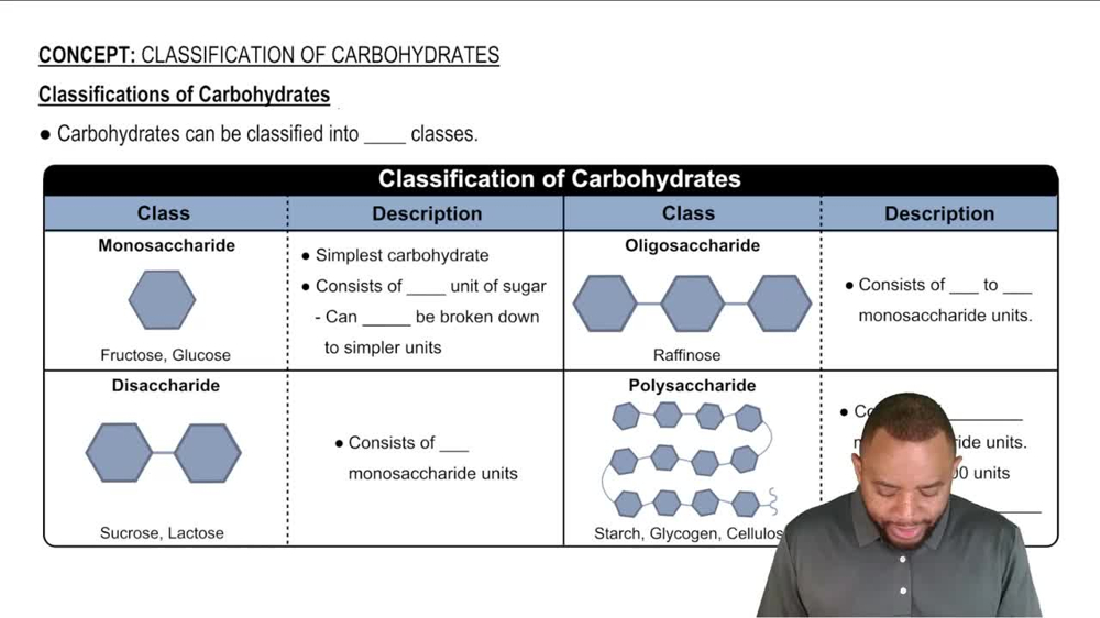 Classification of Carbohydrates Concept 1