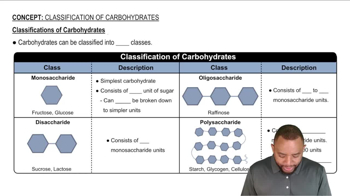 Classification of Carbohydrates Concept 1