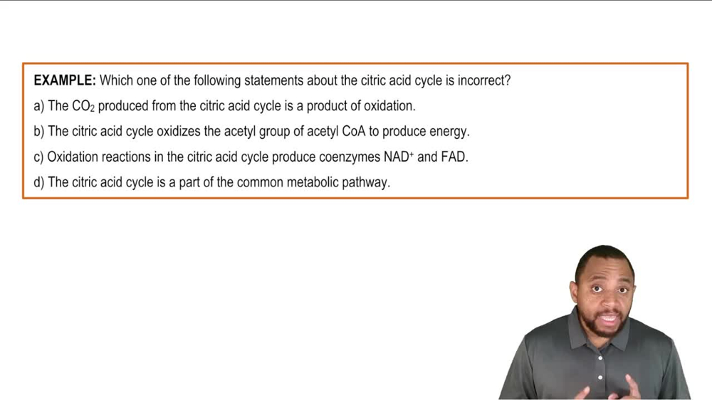 Intro to Citric Acid Cycle Example 1