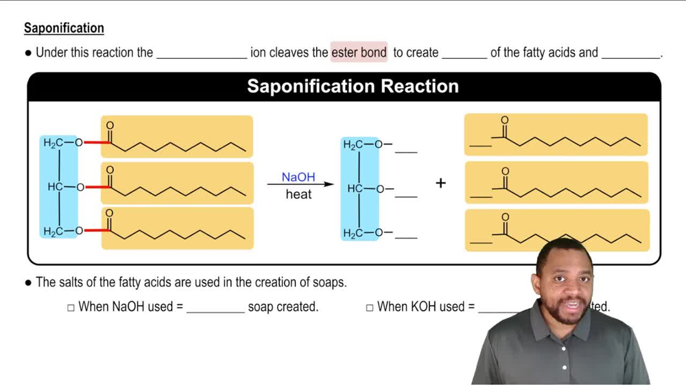 Triacylglycerol Reactions: Hydrolysis Concept 2