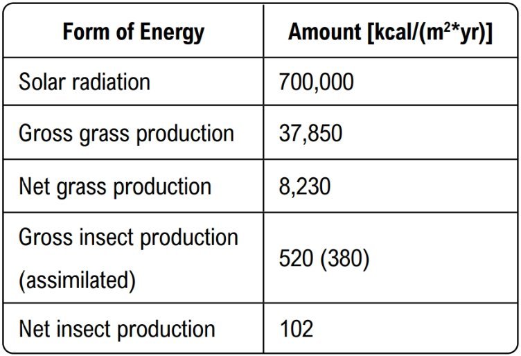 Table showing forms of energy with amounts in kcal per square meter per year, including solar radiation and production values for grass and insects.