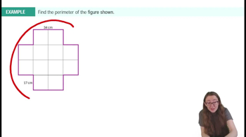 Perimeter Example 1