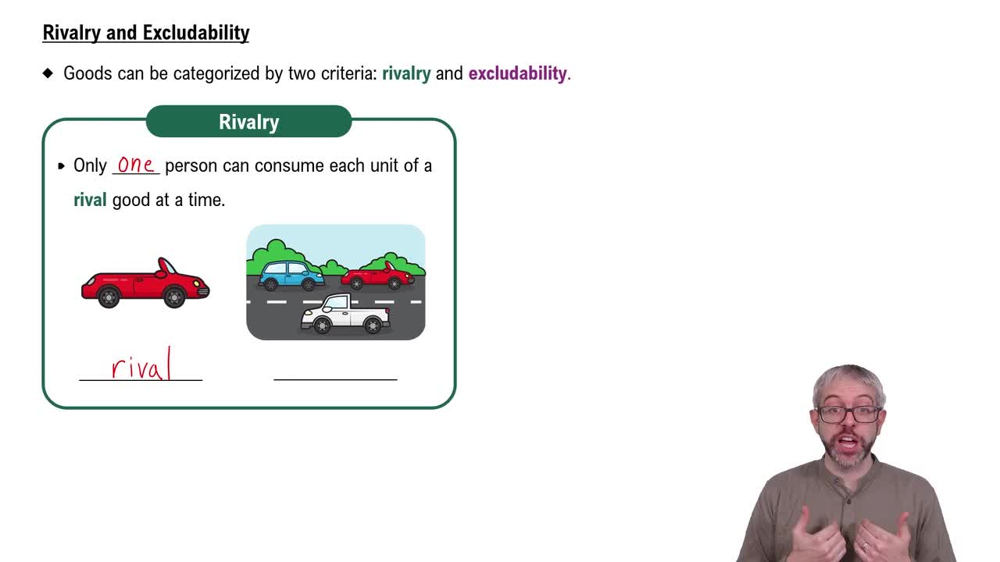 Rivalry and Excludability
