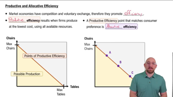 Productive Efficiency and Allocative Efficiency