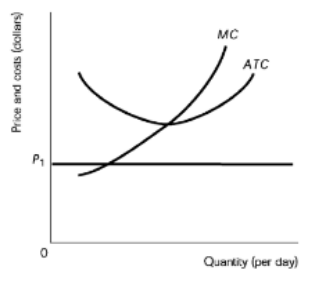 Graph showing marginal cost (MC) and average total cost (ATC) curves intersecting above a constant price line P1.
