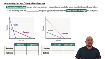 Opportunity Costs and Comparative Advantage