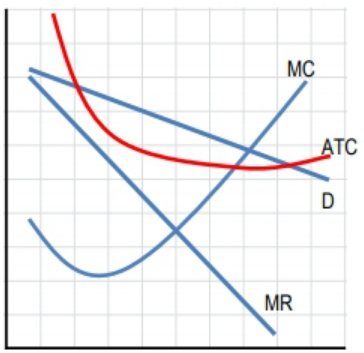 Graph showing cost and revenue curves with marginal cost, average total cost, demand, and marginal revenue lines.