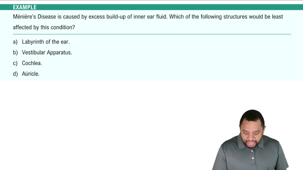 Auditory Pathology Example 1