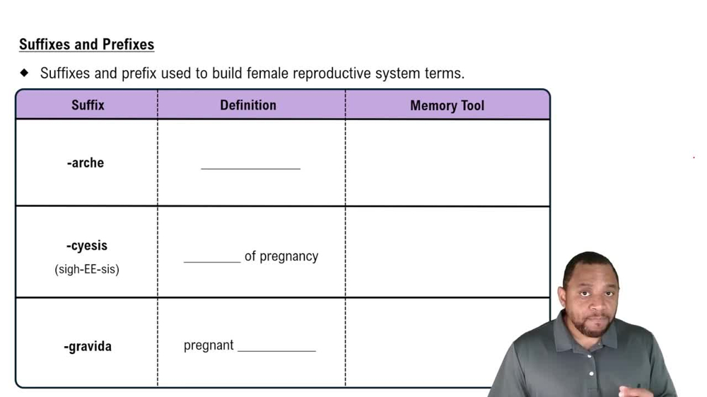 Suffixes and Prefixes Concept 3