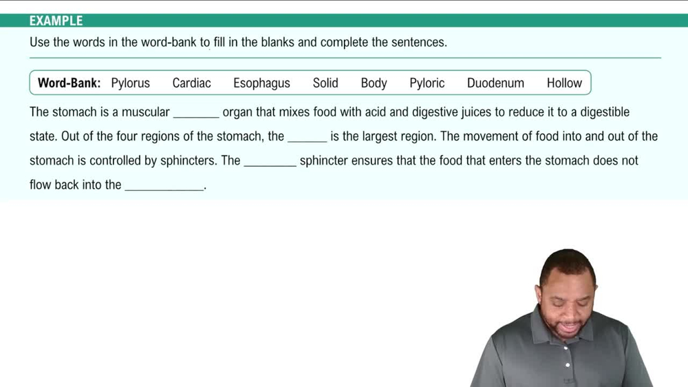 Esophagus & Stomach Example 3