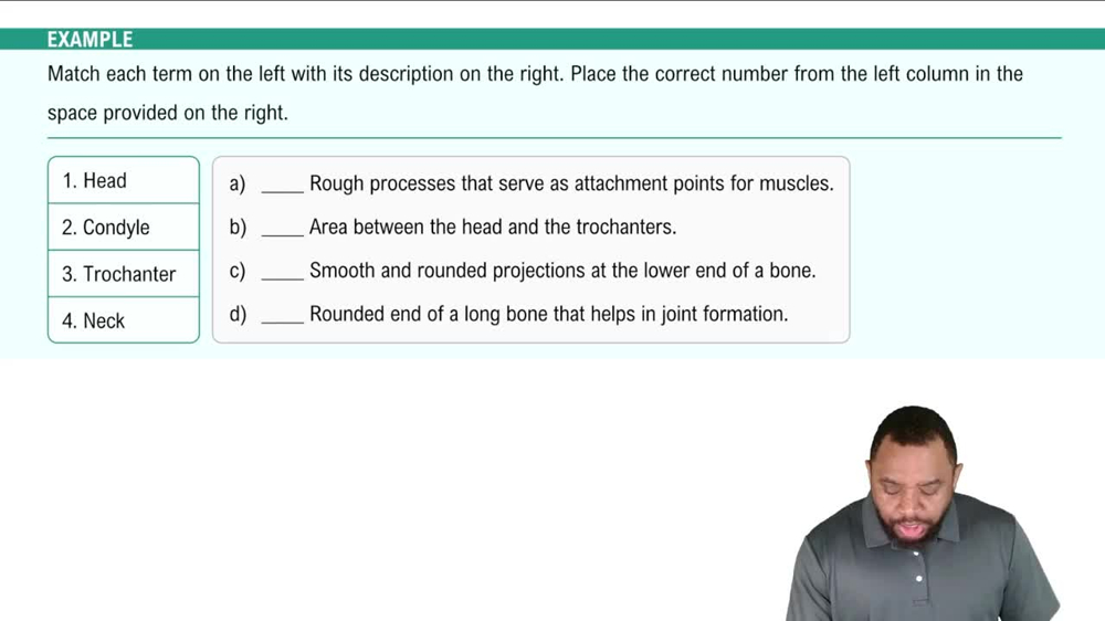 Bone Projections Example 1