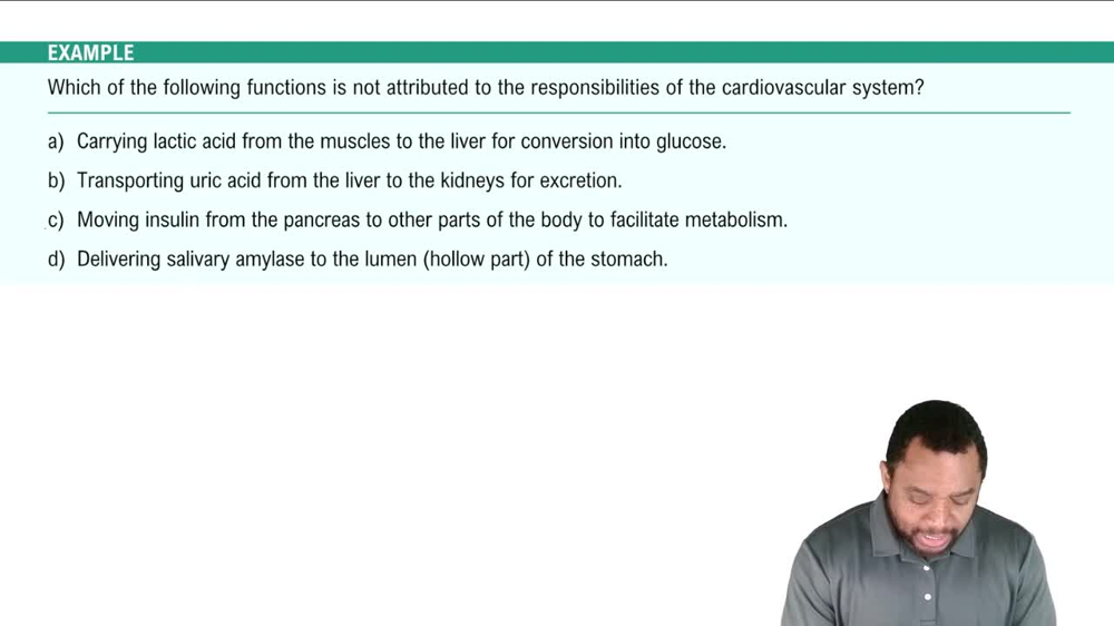Introduction to Cardiovascular System Example 1