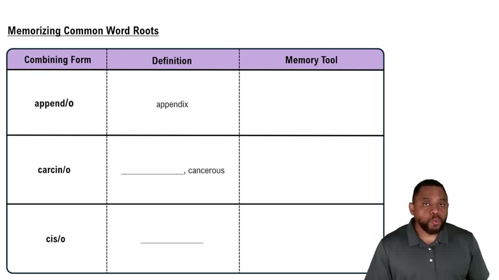 Memorizing Common Word Roots Concept 1
