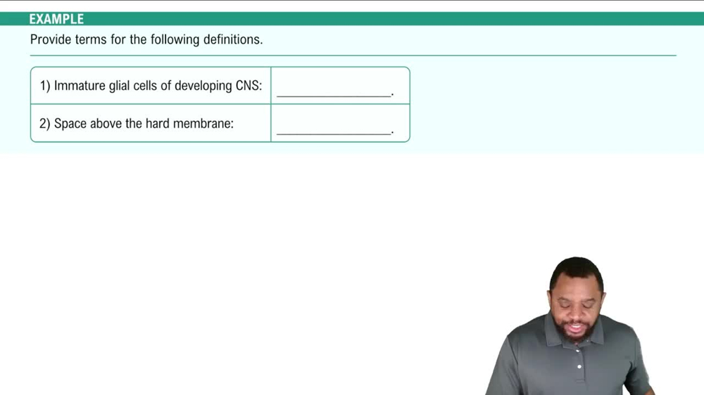 Structures of Nervous System  Example 1