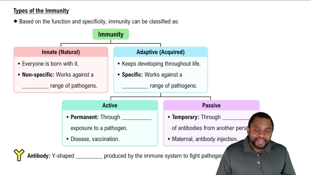 Types of the Immunity Concept 2
