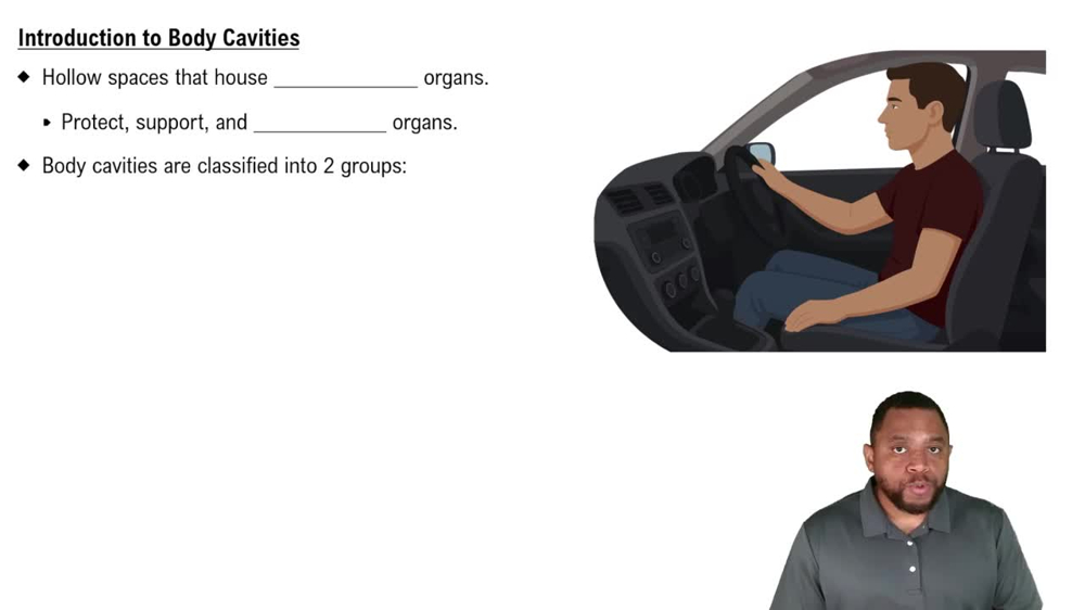 Introduction to Body Cavities Concept 1