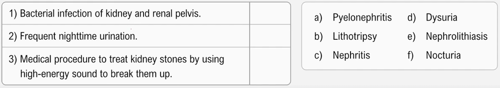 Matching exercise with definitions of urinary system conditions and procedures paired with corresponding medical terms.