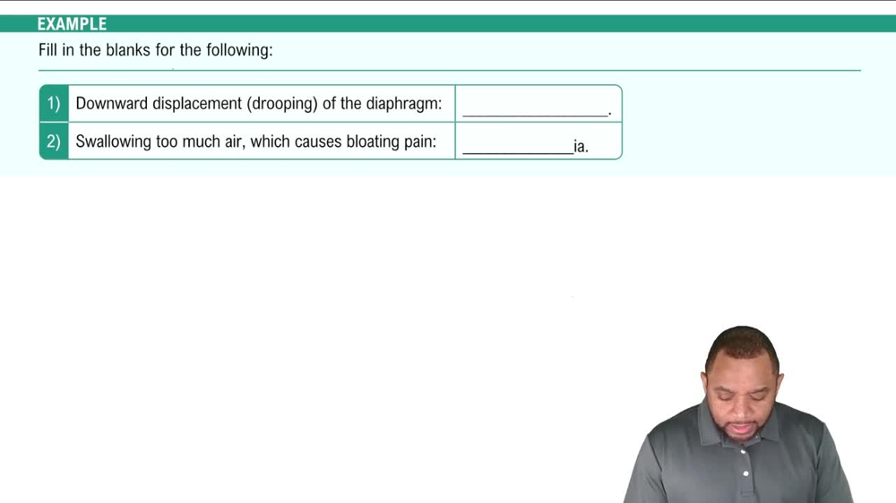 Components of Respiratory System Example 1