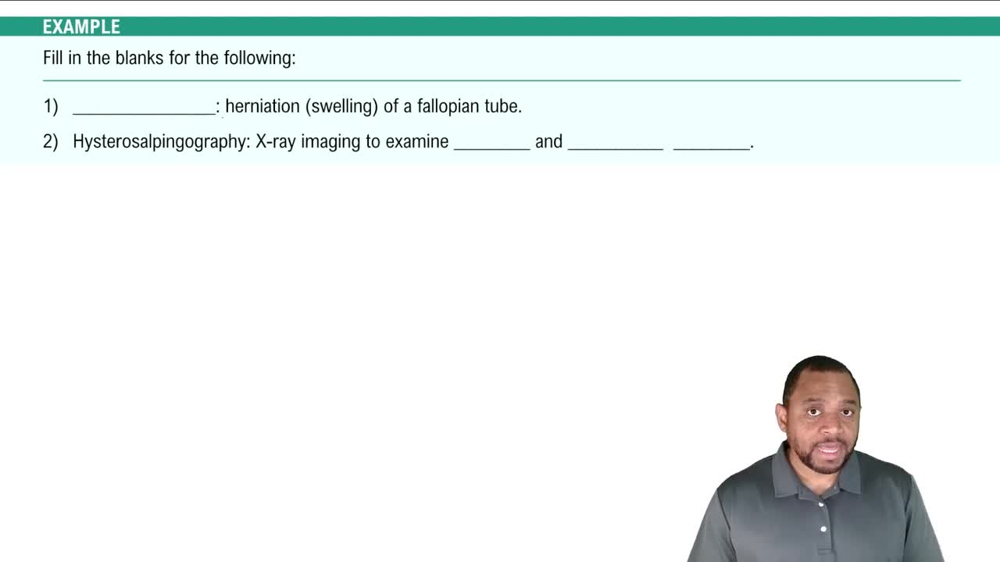 Components of Female Reproductive System Example 1