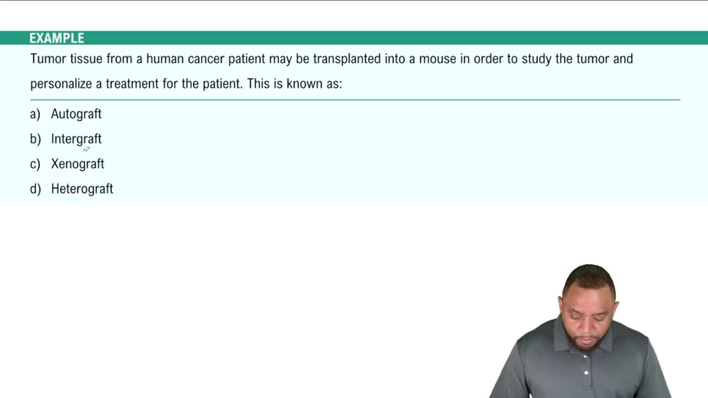 Descriptive Example 4