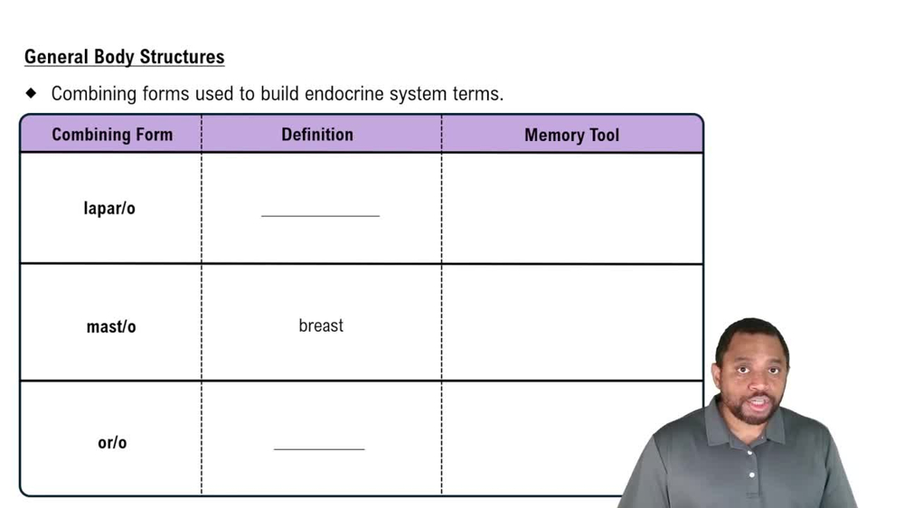 General Body Structures Concept 2