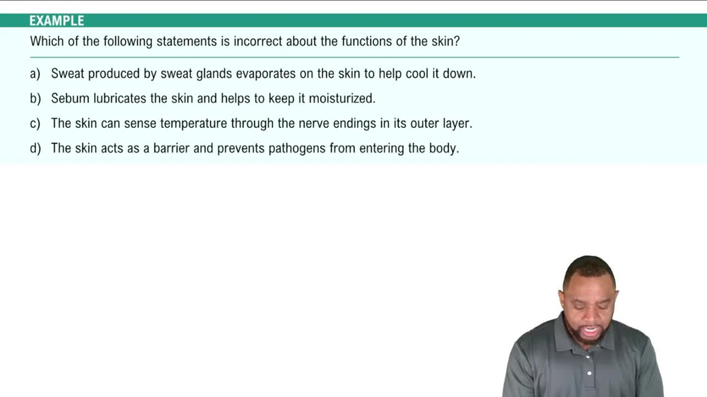 Integumentary System Functions Example 2