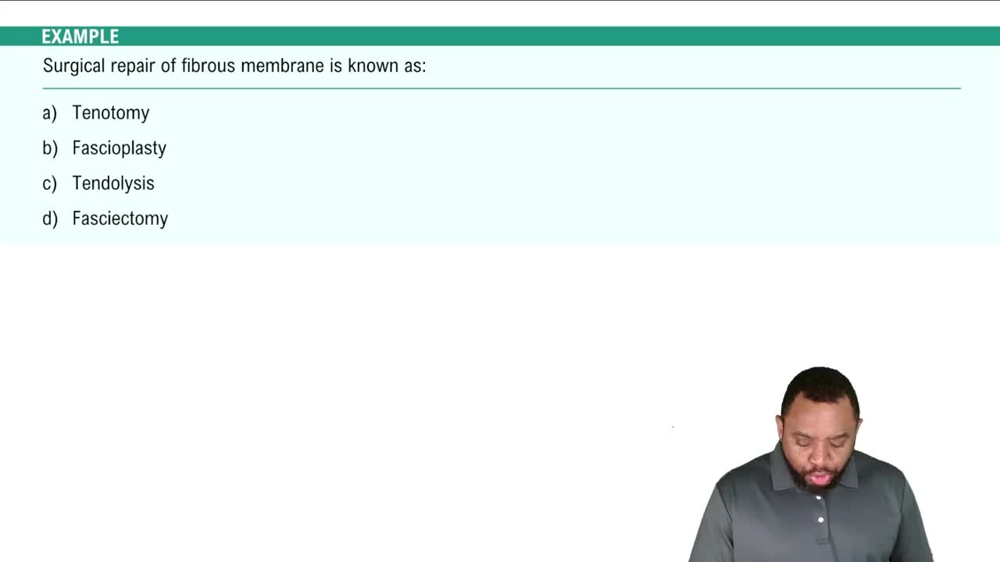 Structures of Muscular System  Example 1