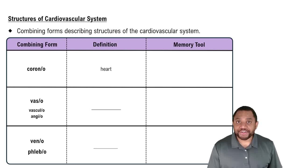 Structures of Cardiovascular System Concept 1