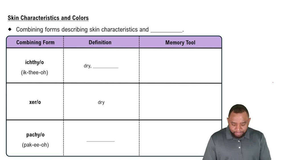 Skin Characteristics and Colors Concept 2