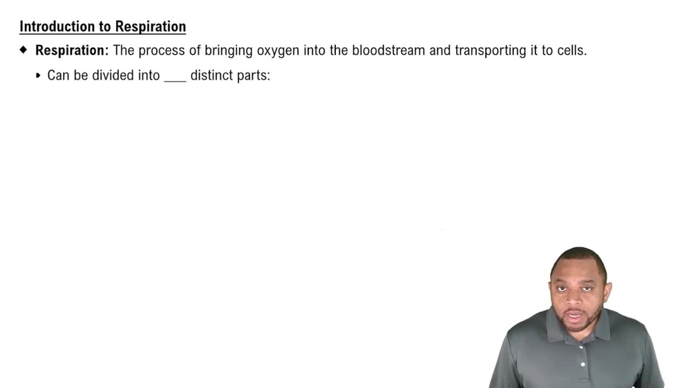Introduction to Respiration Concept 1