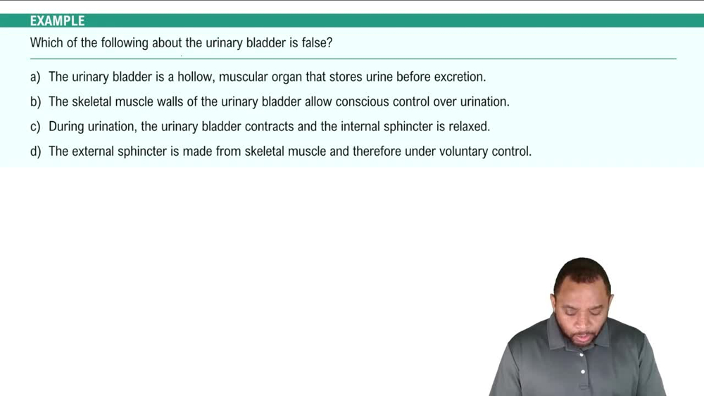 Urinary Bladder Example 4