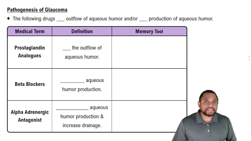 Pathogenesis of Glaucoma Concept 4