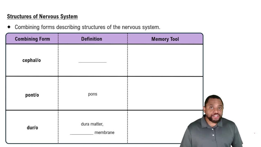 Structures of Nervous System  Concept 1