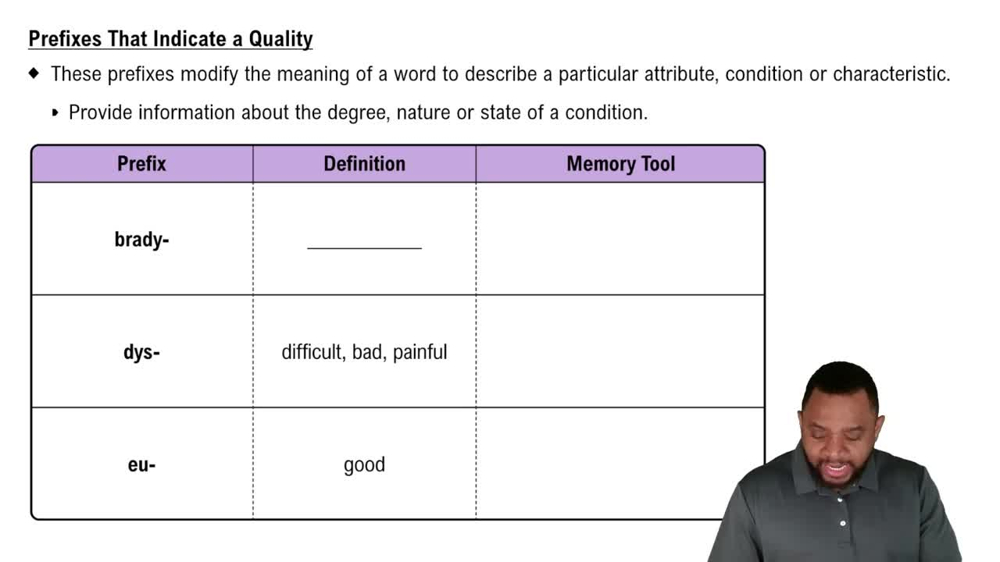 Prefixes That Indicate a Quality Concept 2