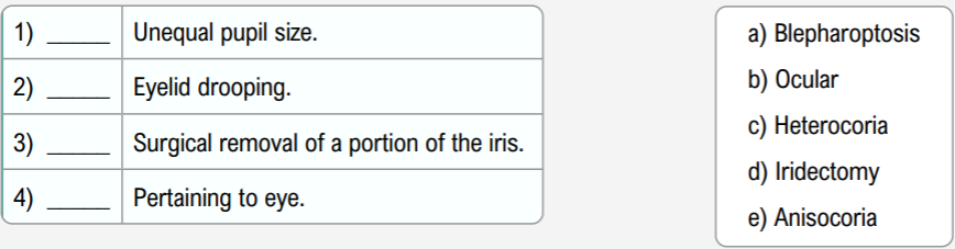 Matching exercise with definitions of eye-related terms and a list of corresponding medical vocabulary words.
