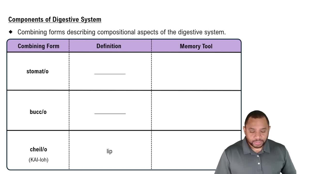 Components of Digestive System Concept 1