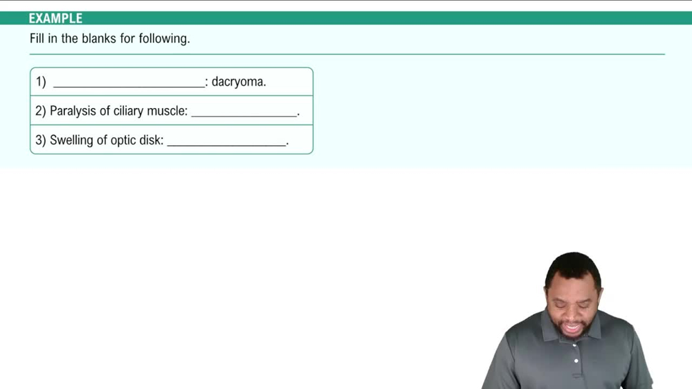 Structures of the Eye Example 1