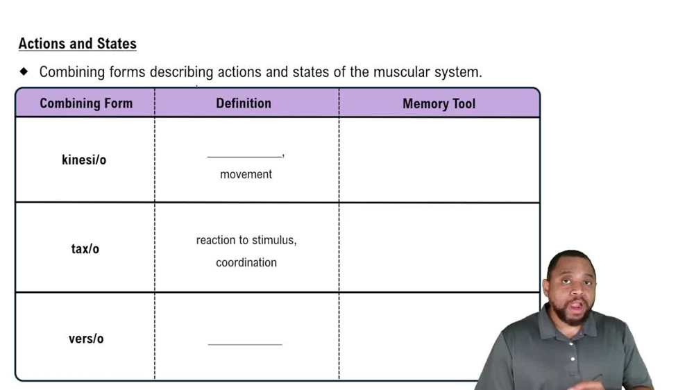 Actions and States Concept 2