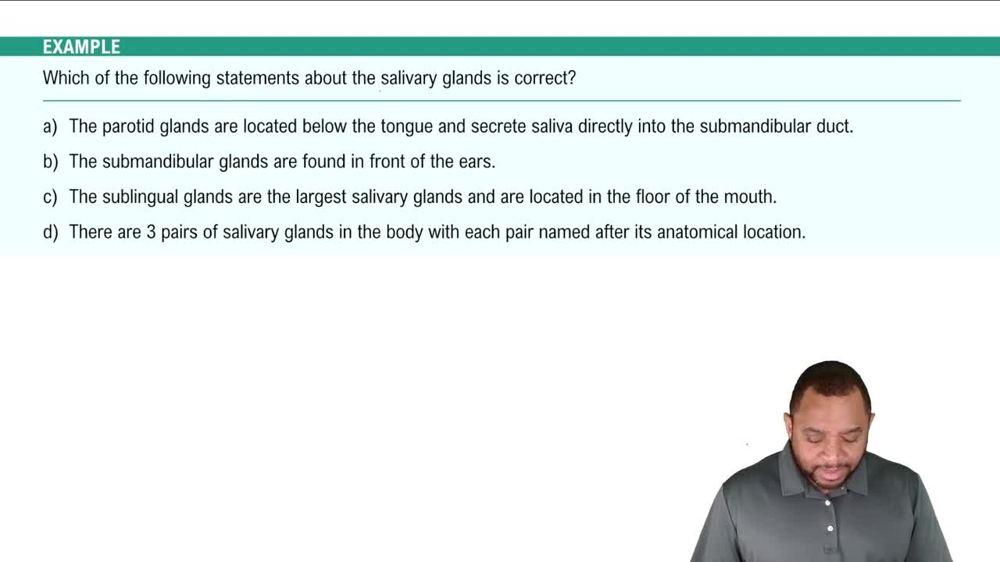 Salivary Glands Example 6