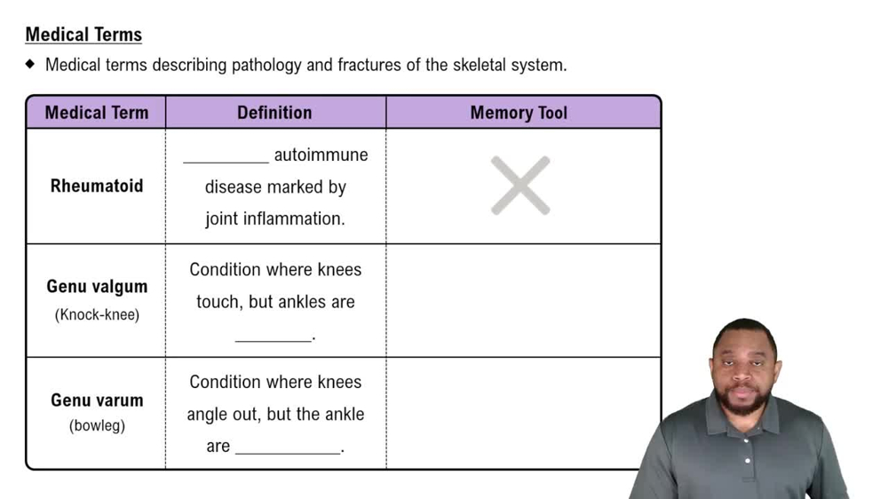 Medical Terms Concept 1