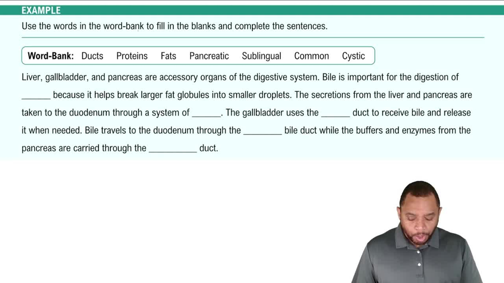 Liver, Gallbladder, and Pancreas Example 7