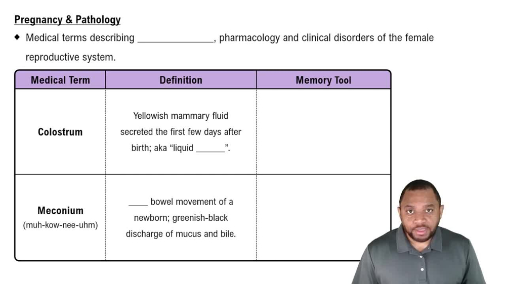 Pregnancy & Pathology Concept 1