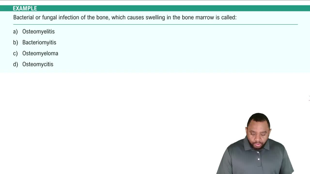 Introduction Example 1