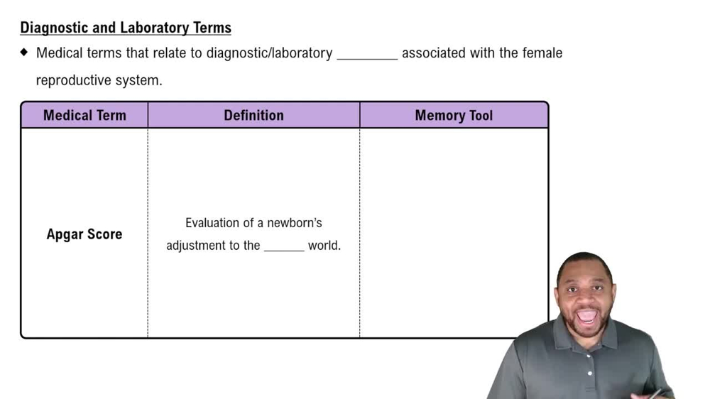 Diagnostic and Laboratory Terms Concept 2