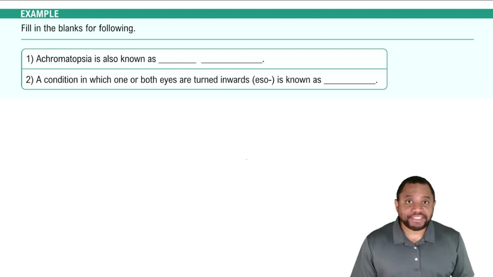 Suffixes and Prefixes Example 3