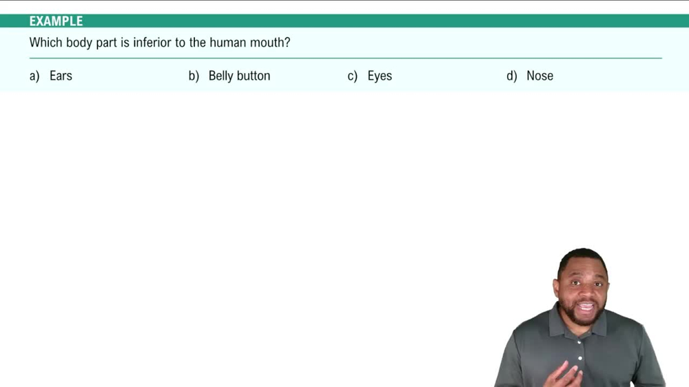 Body Directions Example 2