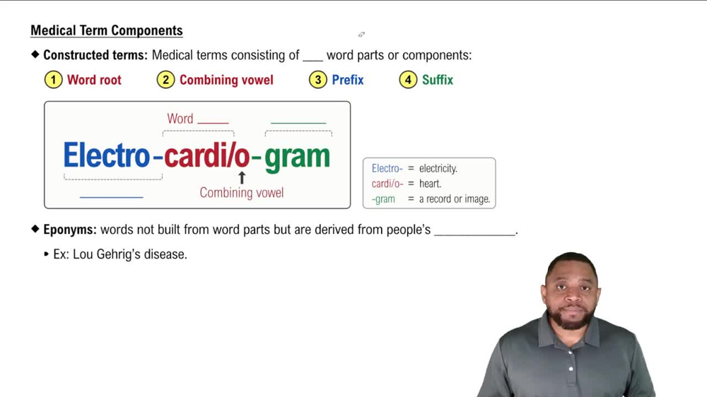 Medical Term Components Concept 1